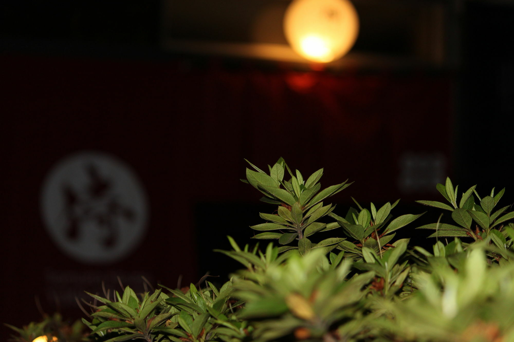 Samurai House Yukimura Tokyo Dış mekan fotoğraf